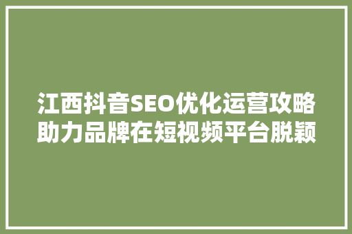 江西抖音SEO优化运营攻略助力品牌在短视频平台脱颖而出