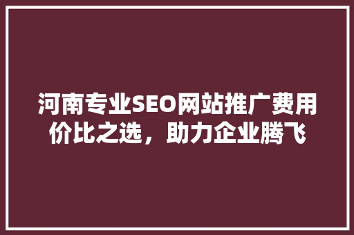 河南专业SEO网站推广费用价比之选，助力企业腾飞