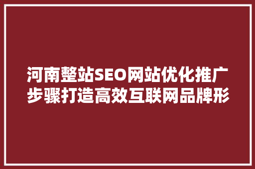 河南整站SEO网站优化推广步骤打造高效互联网品牌形象