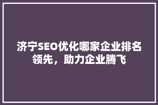 济宁SEO优化哪家企业排名领先，助力企业腾飞