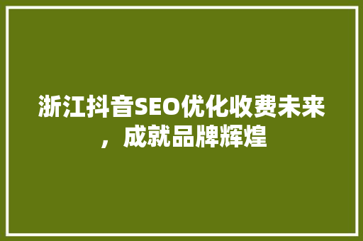 浙江抖音SEO优化收费未来，成就品牌辉煌