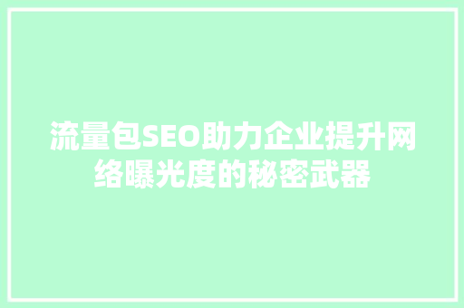 流量包SEO助力企业提升网络曝光度的秘密武器