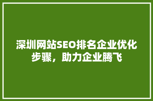 深圳网站SEO排名企业优化步骤，助力企业腾飞