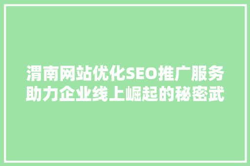 渭南网站优化SEO推广服务助力企业线上崛起的秘密武器