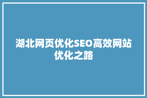 湖北网页优化SEO高效网站优化之路