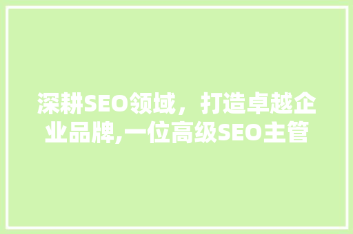 深耕SEO领域，打造卓越企业品牌,一位高级SEO主管的求职自述