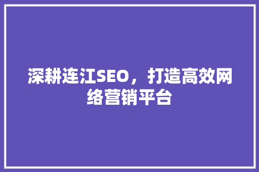 深耕连江SEO，打造高效网络营销平台