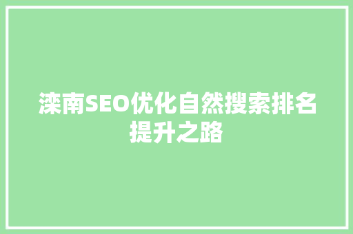 滦南SEO优化自然搜索排名提升之路