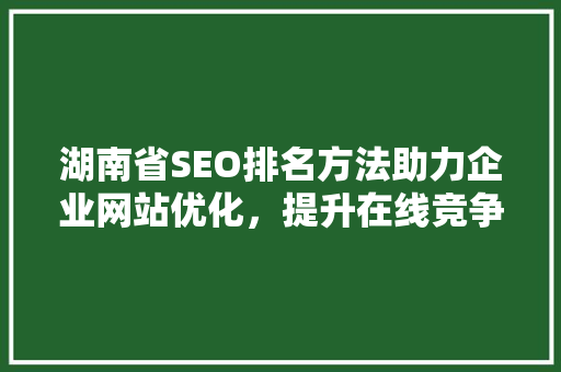 湖南省SEO排名方法助力企业网站优化，提升在线竞争力