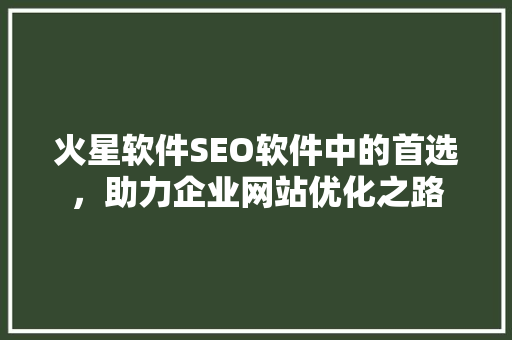 火星软件SEO软件中的首选，助力企业网站优化之路