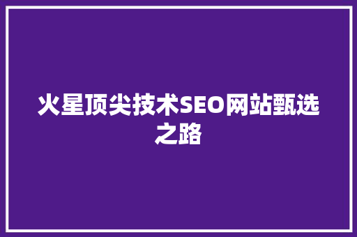 火星顶尖技术SEO网站甄选之路