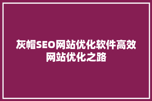 灰帽SEO网站优化软件高效网站优化之路