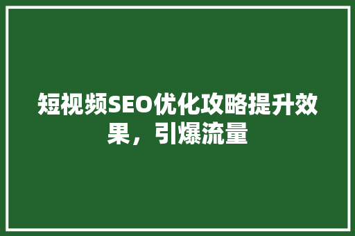 短视频SEO优化攻略提升效果，引爆流量