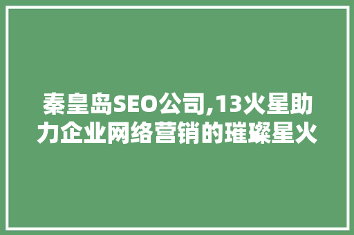 秦皇岛SEO公司,13火星助力企业网络营销的璀璨星火
