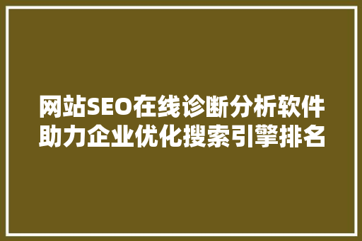 网站SEO在线诊断分析软件助力企业优化搜索引擎排名的得力助手