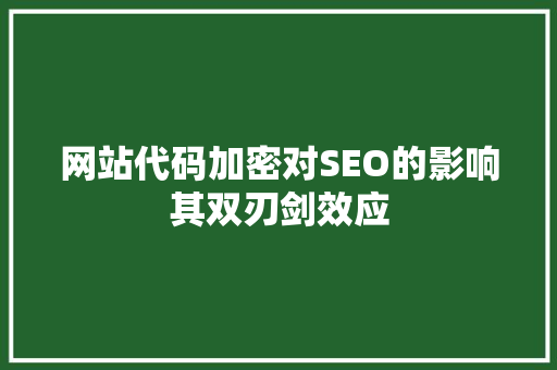 网站代码加密对SEO的影响其双刃剑效应