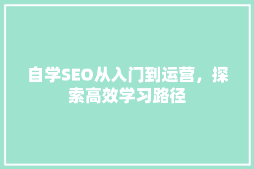 自学SEO从入门到运营，探索高效学习路径