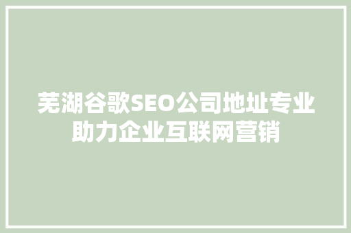 芜湖谷歌SEO公司地址专业助力企业互联网营销
