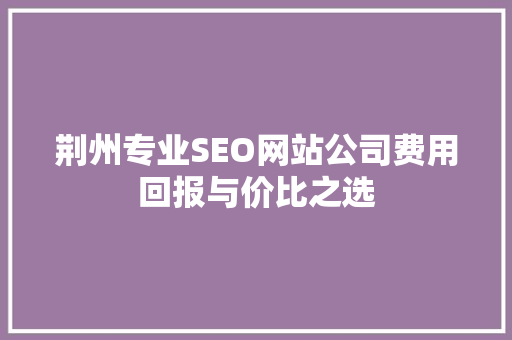 荆州专业SEO网站公司费用回报与价比之选