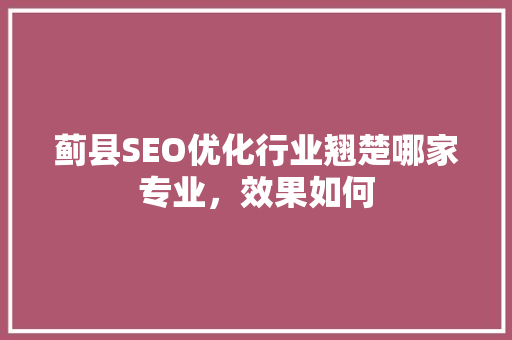 蓟县SEO优化行业翘楚哪家专业，效果如何