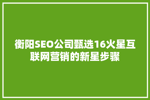 衡阳SEO公司甄选16火星互联网营销的新星步骤