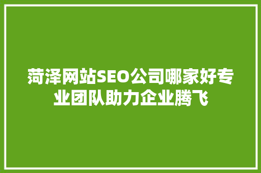 菏泽网站SEO公司哪家好专业团队助力企业腾飞