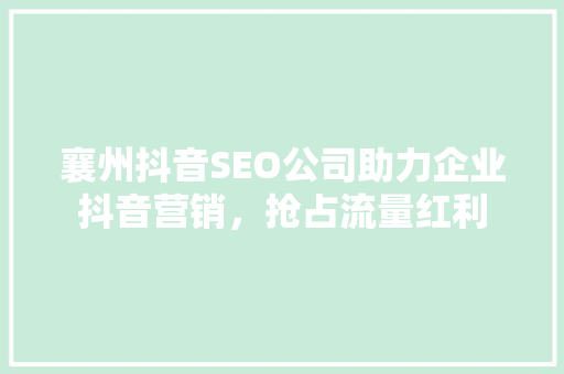 襄州抖音SEO公司助力企业抖音营销，抢占流量红利