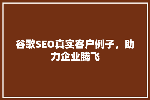 谷歌SEO真实客户例子，助力企业腾飞