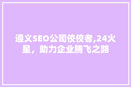 遵义SEO公司佼佼者,24火星，助力企业腾飞之路