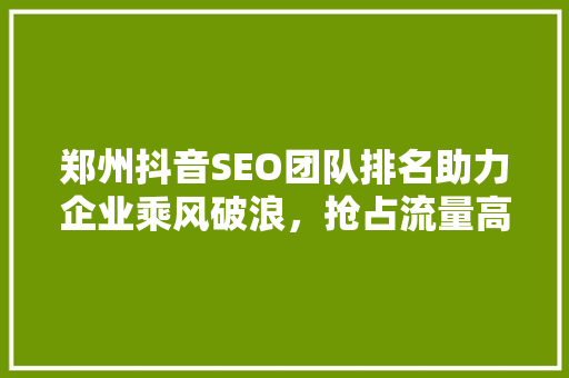 郑州抖音SEO团队排名助力企业乘风破浪，抢占流量高地