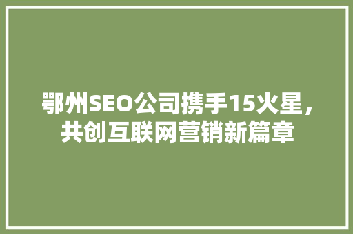 鄂州SEO公司携手15火星，共创互联网营销新篇章