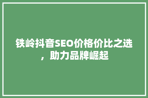 铁岭抖音SEO价格价比之选，助力品牌崛起