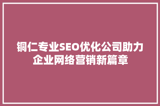 铜仁专业SEO优化公司助力企业网络营销新篇章