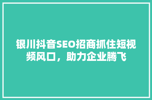 银川抖音SEO招商抓住短视频风口，助力企业腾飞