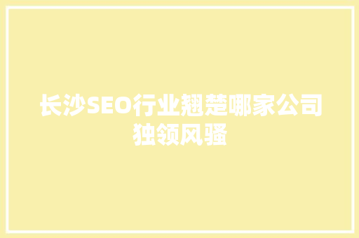 长沙SEO行业翘楚哪家公司独领风骚