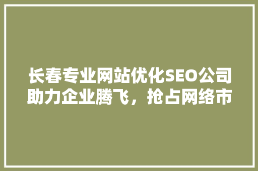 长春专业网站优化SEO公司助力企业腾飞，抢占网络市场先机