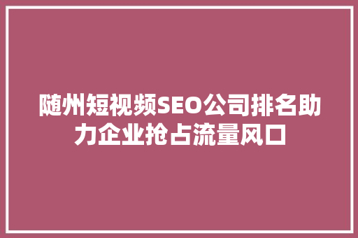 随州短视频SEO公司排名助力企业抢占流量风口