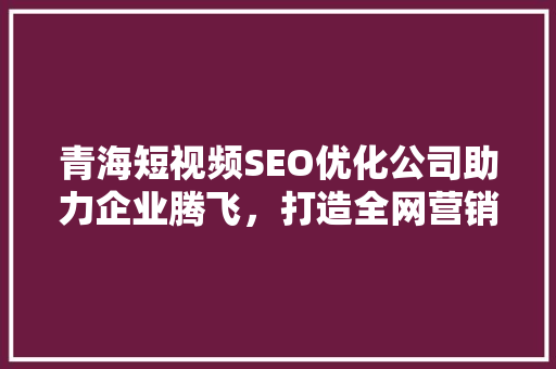 青海短视频SEO优化公司助力企业腾飞，打造全网营销新格局
