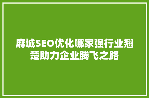 麻城SEO优化哪家强行业翘楚助力企业腾飞之路