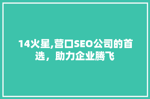 14火星,营口SEO公司的首选，助力企业腾飞