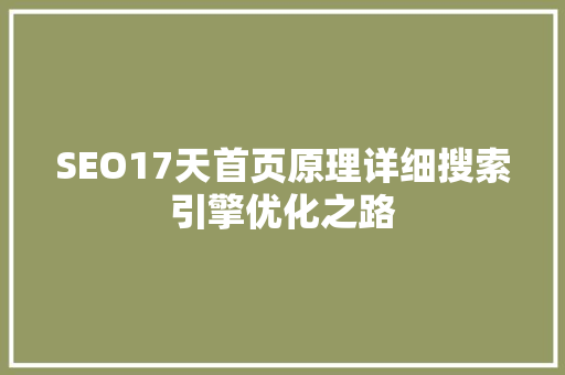 SEO17天首页原理详细搜索引擎优化之路
