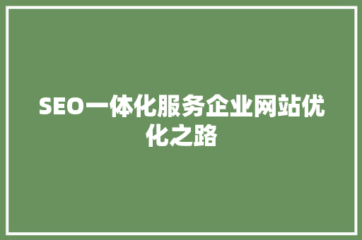 SEO一体化服务企业网站优化之路