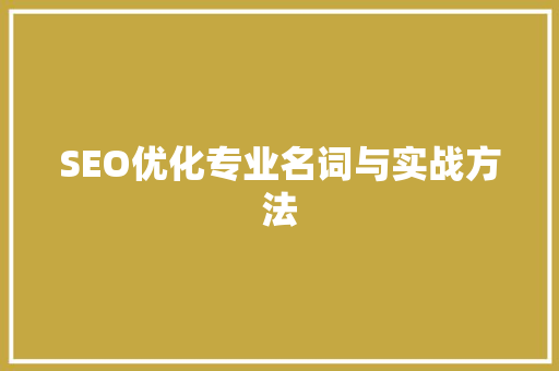 SEO优化专业名词与实战方法