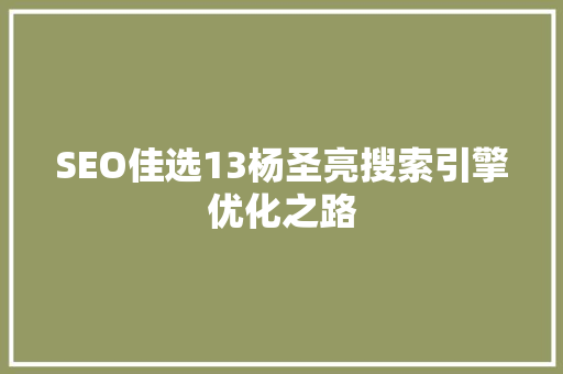 SEO佳选13杨圣亮搜索引擎优化之路
