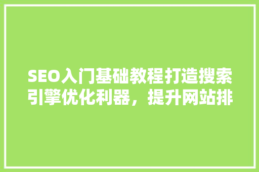 SEO入门基础教程打造搜索引擎优化利器，提升网站排名与流量