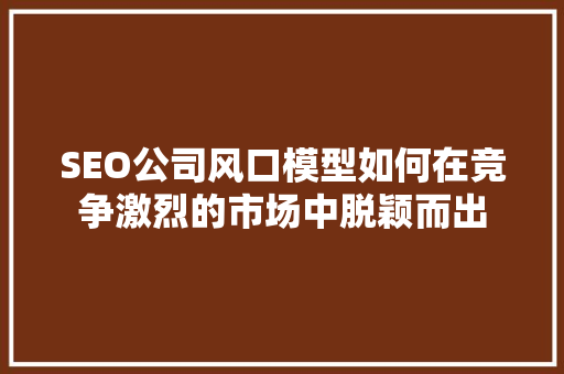SEO公司风口模型如何在竞争激烈的市场中脱颖而出