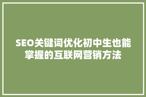 SEO关键词优化初中生也能掌握的互联网营销方法
