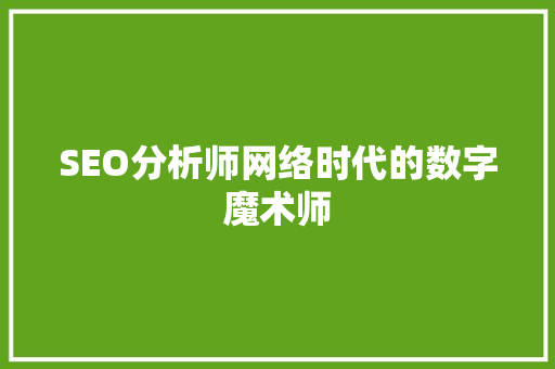 SEO分析师网络时代的数字魔术师