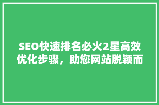 SEO快速排名必火2星高效优化步骤，助您网站脱颖而出
