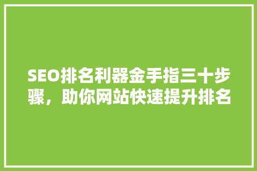 SEO排名利器金手指三十步骤，助你网站快速提升排名